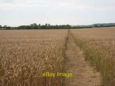 Photo 6x4 Bridleway to Goulceby Scamblesby Still a while before the wheat c2012