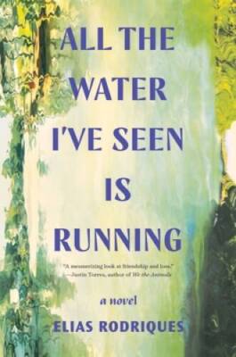 All the Water Ive Seen Is Running: A Novel - Paperback - GOOD