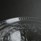Foto 5 di 12