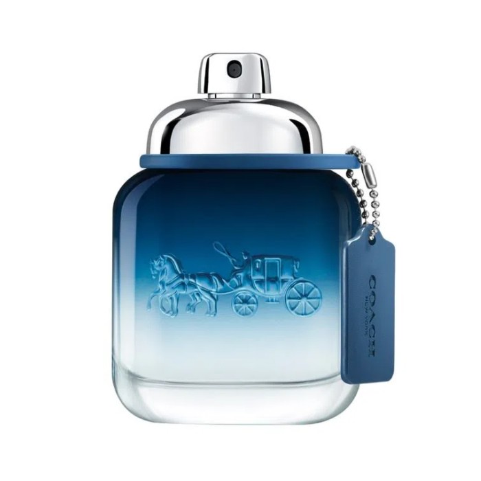 Coach Blue Eau de Toilette da uomo 100 ml - Immagine 3