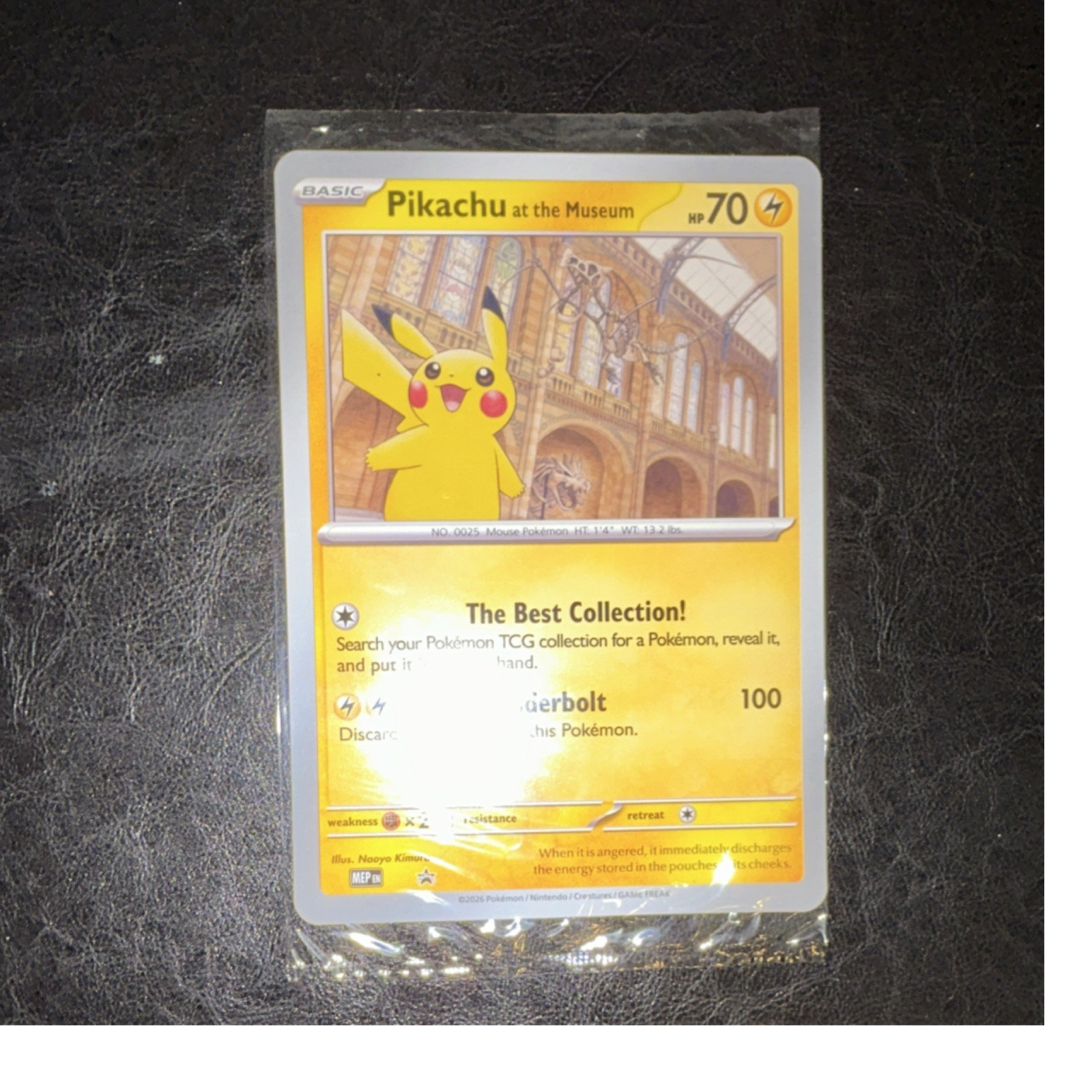 Pokémon TCG Pikachu at the Museum Promo Oversized Card MPEP 2023