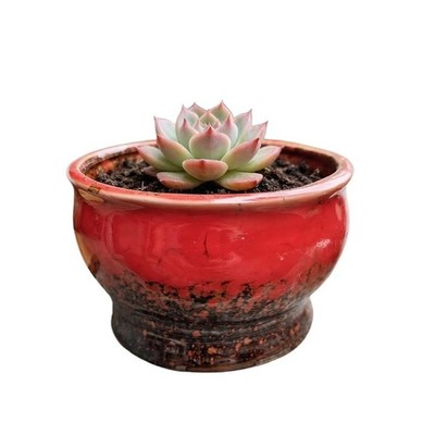 ''4.3Inch Circular Ceramic Flower Pots for Succulents and Cacti  No Tray''