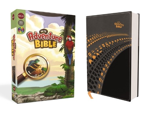 NKJV, Adventure Bible, Leathersoft, Gray, Full Color by Lawrence O. Richards - Image 3