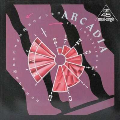 Arcadia - Election Day The Consensus Mix 12'' Maxi Vinyl Schallpla