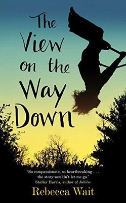 The View on the Way Down - Wait, Rebecca