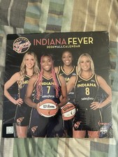 Turner Licensing,  WNBA Indiana Fever Wall