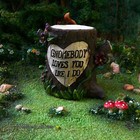 Bild 11 von 12