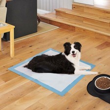 Pet Training Pads 400/200 Puppy Dog Toilet Pee Indoor Super Absorbent 60x60cm — image 11