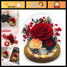 Eternal Preserved Rose in Glass Dome - Forever Fresh Flowers Gift for Her, Valen