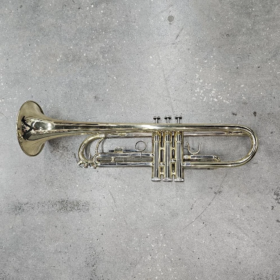 Trompeta Roy Benson Bb TR-202 Latón Amarillo con Estuche y Boquilla 5c y 7c Foto 3 de 4