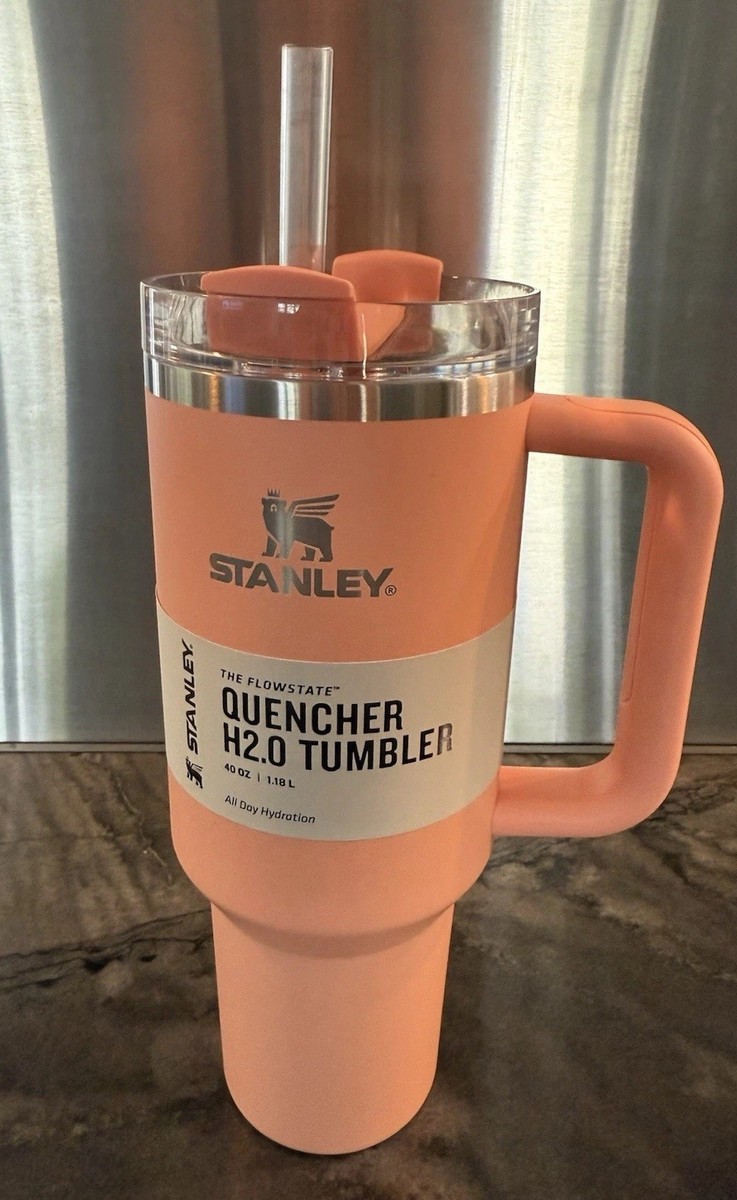 Target Stanley 40 oz Melon Orange Quencher H2.0 Flowstate Tumbler | eBay