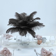 12 pcs 13-15" long Black Genuine Ostrich FEATHERS Wedding Party Centerpieces