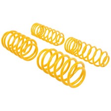 ST Sportfedern 30/20mm Ford Focus (DYB) Turnier / (Kombi) (VA -985kg)