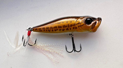 MEGABASS POPX PM RAIGYO (Snake Head) Pop-X Topwater Angelköder Wobbler