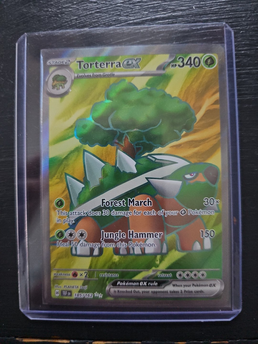 Torterra ex 185/162 Sv05: Temporal Forces Holo