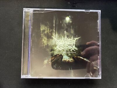 Bradi Cerebri Ectomia - Mangled Perception (cd)