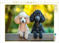 Calvendo Puzzle Two Friends, A Shared Moment | 1000 Pieces, Finished Size 25.2 ×