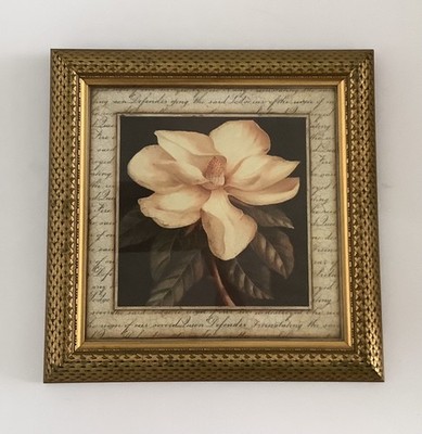 Vintage gerahmter & glasierter SID DICKENS-Druck ''ALTE MAGNOLIE'' im vergoldeten Rahmen