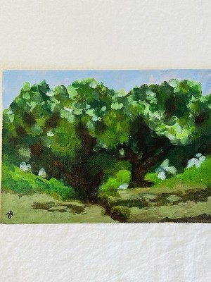 Original Painting Landscape Arroyo Forest Trees Scene