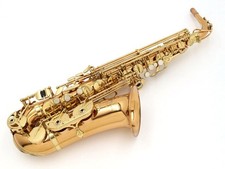 YANAGISAWA Alto Saxophone A-902 00245384
