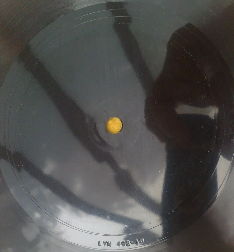 " The Beatles' Christmas Record " Vrare Orig UK '63 Lüfter Club Flexi Nein Label - Bild 3 von 4