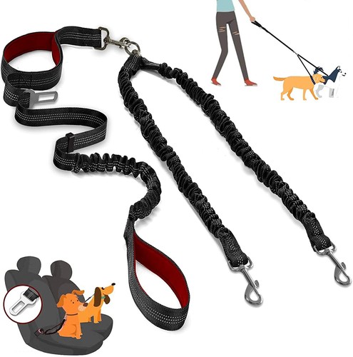 dual leash for large dogs