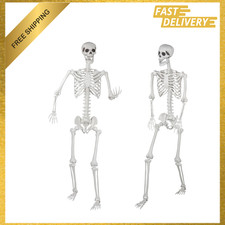 Halloween Skeleton, Life Size Realistic Skeleton with Movable Joints 5.9ft for