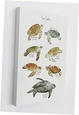 Ocean Animal Watercolor Educational Chart Wall Art Canvas Farmhouse Sea Turtle
