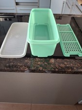 Tupperware Superstar Behälter Frischebox mit Deckel grün