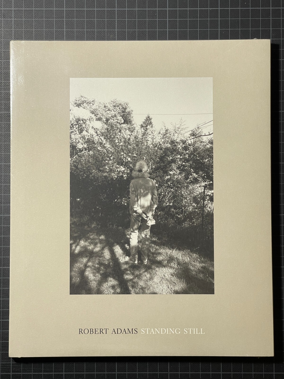 Robert Adams - Standing Still