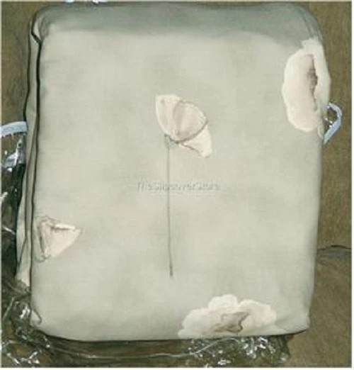 NEW SERENITY Loveseat Neutral Floral Khaki 1 pc straight Living Room Slipcover - Image 4 of 4