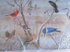 1979 National Wildlife Federation Various Birds Wetland Silky Polyester Scarf 