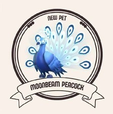 Moonbeam Peacock  Adopt From me Today     early mothersday sale     