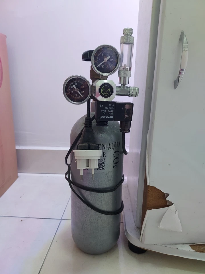 Aquarium Landscape - Image 3 of 4