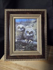 Owl Wall Art 2 Sweet Resting Owls Photograph ...
