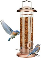 Upgraded Bluebird Feeder for Outdoors Hanging, Metal Mealworm Tube Bird Feeder w