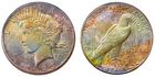 1923-S PCGS MS64 PEACE $$ BEAUTIFUL MULTICOLOR BRIGHT RAINBOW TONING (VIDEO) **