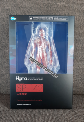 FREEing figma Human Anatomical Model action figure museum Dandadan