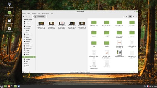 CLÉ USB LINUX MINT 21 VANESSA 64BIT BOOTABLE DRIVE LIVE & INSTALL - Photo 9/9