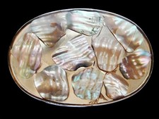 NA23126 VINTAGE 1970s  ABALONE  SOUTHWESTERN DESIGN BELT BUCKLE