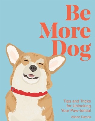 BE MORE CAT by DAVIES, ALISON Hardback Self Help Business