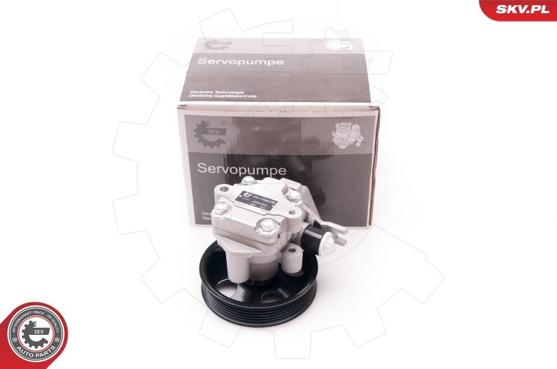 FüR Skv Germany 10SKV214 Power Steering Pump-image