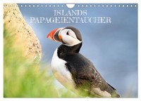 Iceland's Puffins (Wall Calendar 2027 DIN A4 Landscape), Calvendo 12 Month Wall