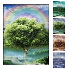 Four Seasons Tree 3D Poster Wall Art Decor Print ，Beautiful Nature Scene