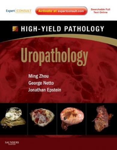 Uropathology : A Volume in the High Yield Pathology Series (Expert ...