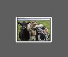 Cows Sticker Farm Funny Waterproof NEW
