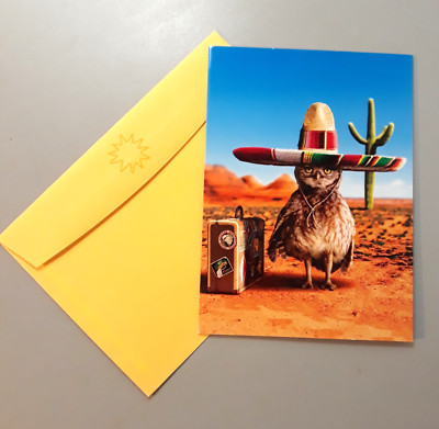 Greeting Card & Envelope Birthday Pop-up Suitcase Cactus Bird Sombrero Desert