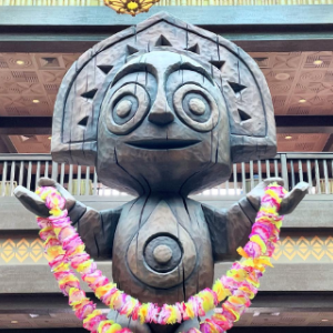 tikimagicshop | eBay Stores