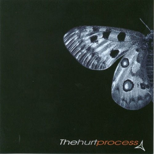 Альбом Hurt Process The Last Goodbye (CD) (ИМПОРТИРОВАН из Великобритании)