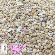 Star Sand in Okinawa Ishigaki Island Japan 1.0kg / 2.2 lb
